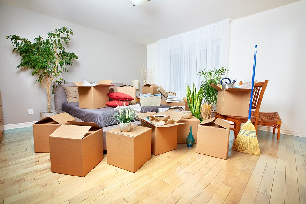 Affordable movers in the Auckland area